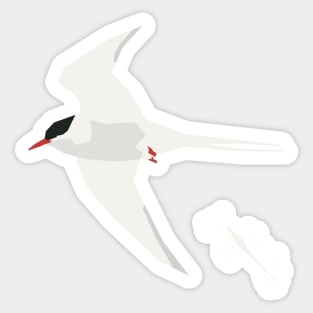 Graphic Nature - Arctic Tern Poo! Sticker